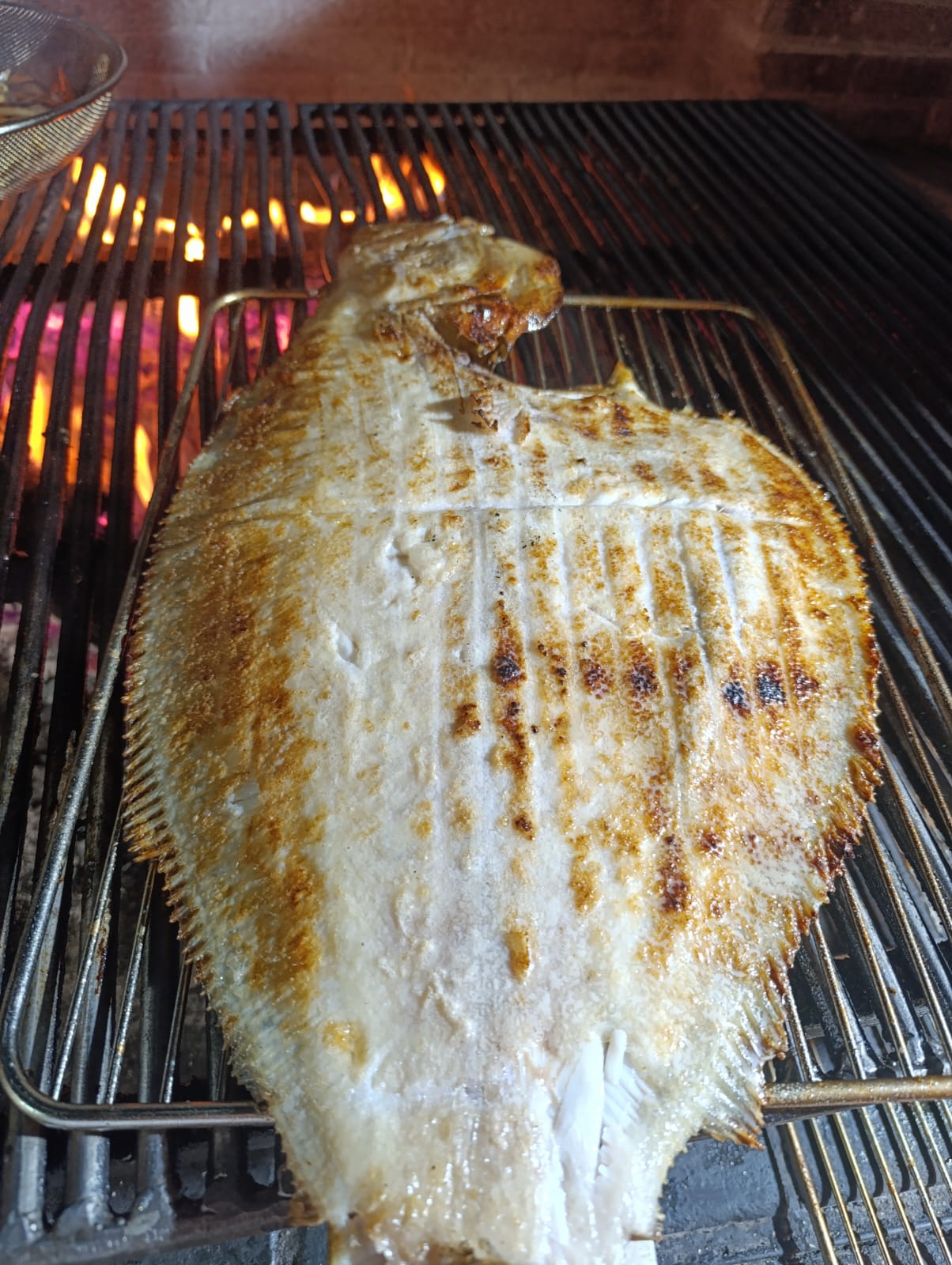 Cocina en marcha con llama y calor